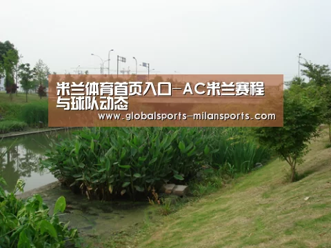 案例展示四(图1)