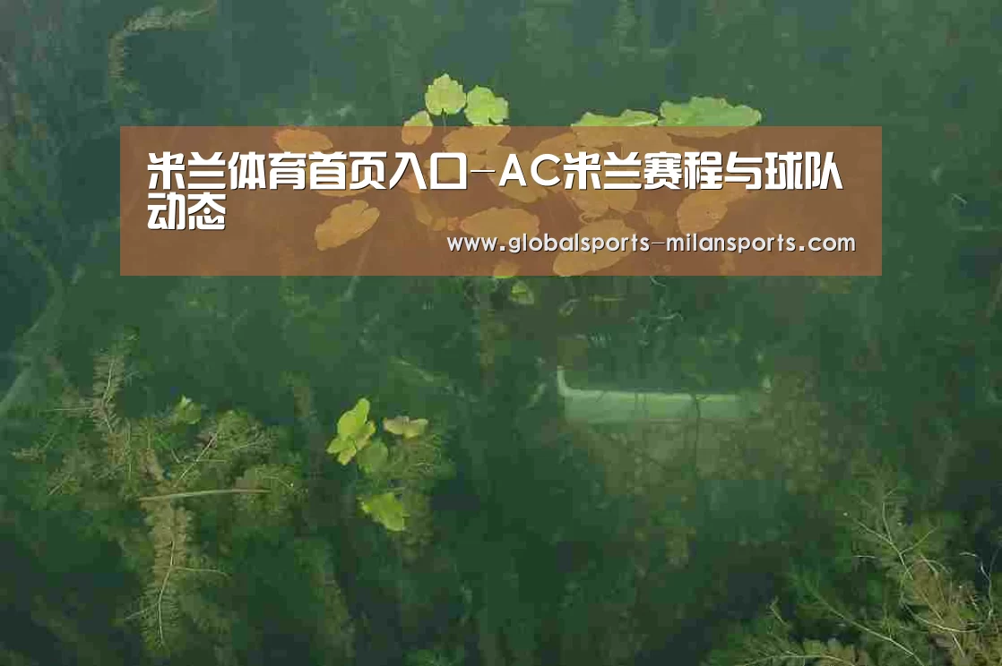 案例展示三(图1)