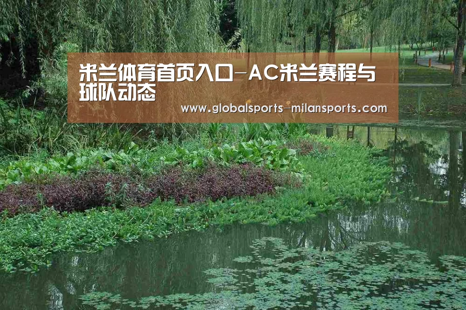 案例展示一(图1)