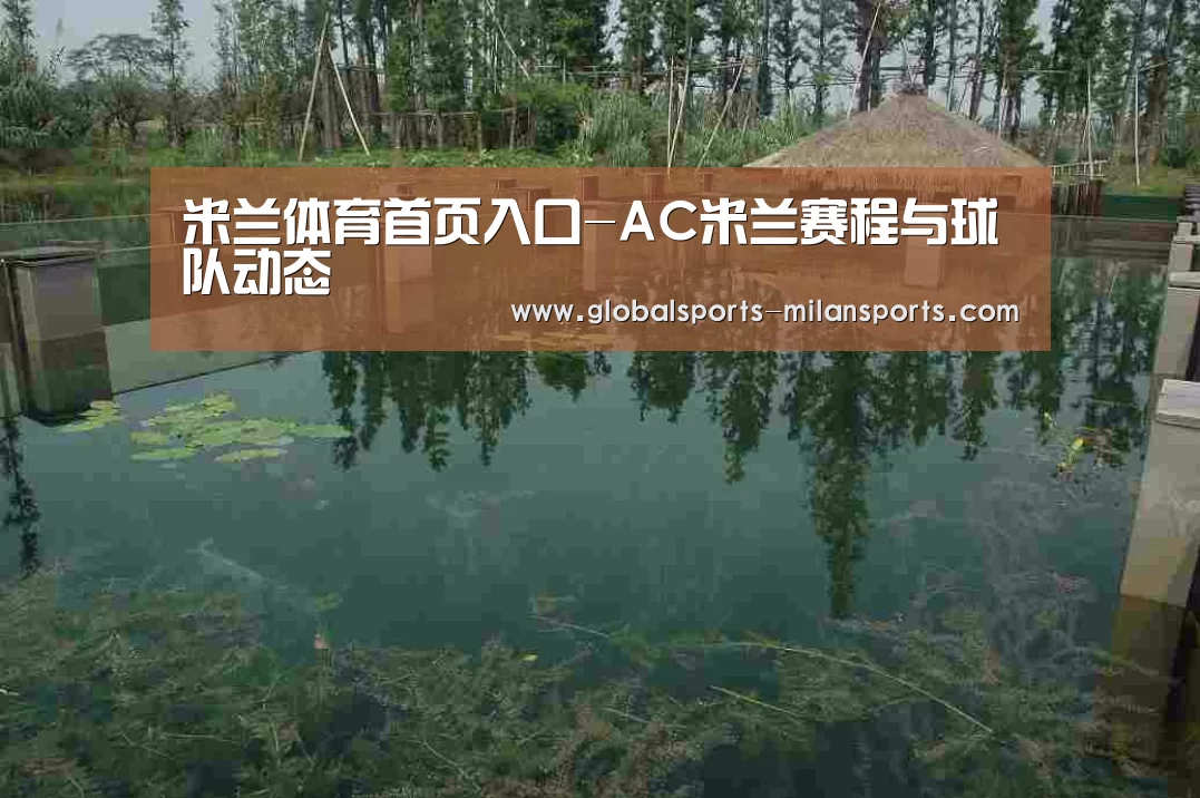 案例展示二