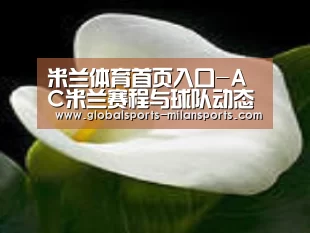 产品名称七