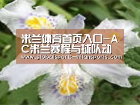 产品名称二