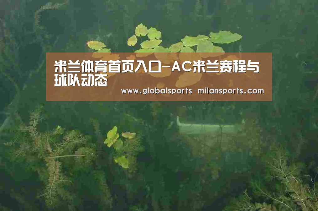 案例展示三