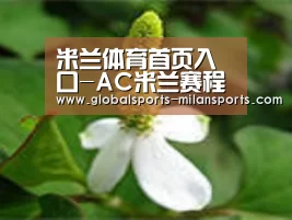 产品名称三