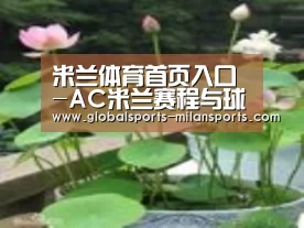 产品名称一