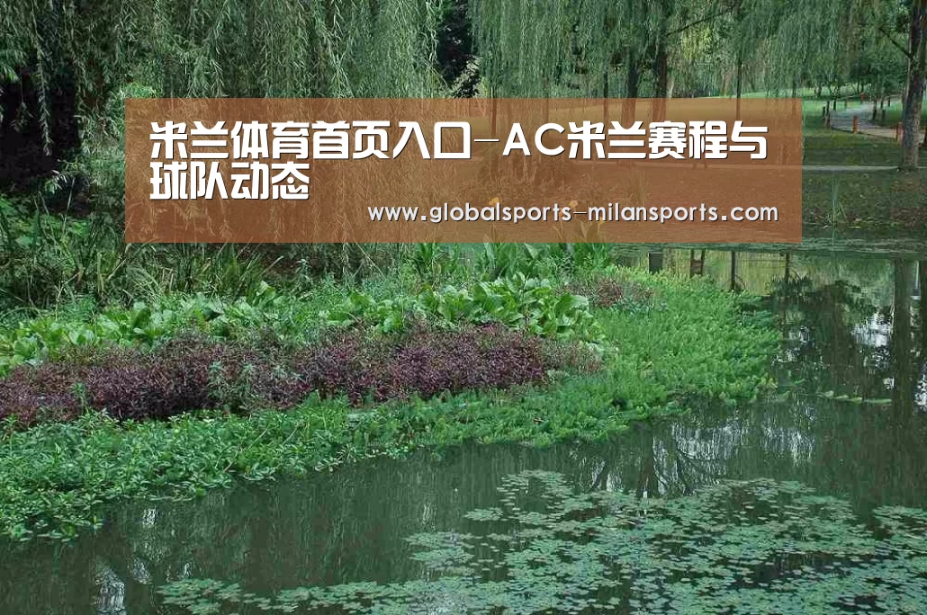 案例展示一