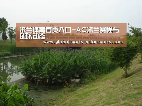 案例展示四