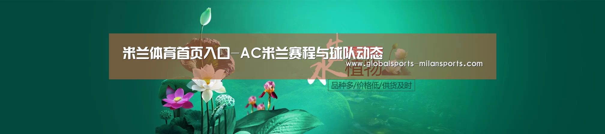 鲜花水草花卉网站模板