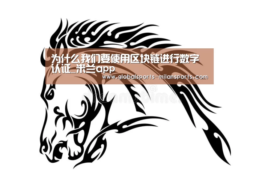 为什么我们要使用区块链进行数字认证_米兰app
