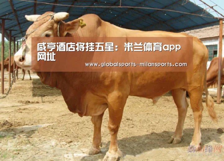 咸亨酒店将挂五星:米兰体育app网址(图3) 米兰体育app官网