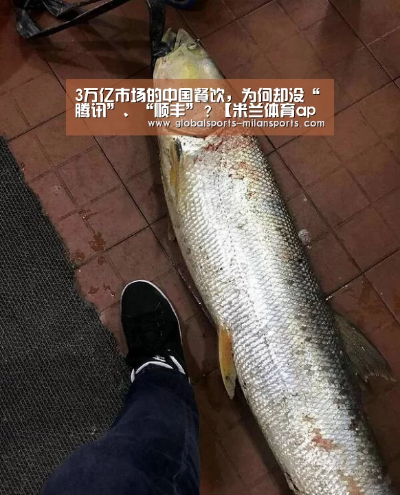 3万亿市场的中国餐饮,为何却没“腾讯”、“顺丰”?【米兰体育app下载】(图3) 米兰体育app下载